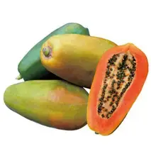 Hybrid Papaya Seeds Pack of 200 | High Yield, Early Fruiting, Sweet & Juicy